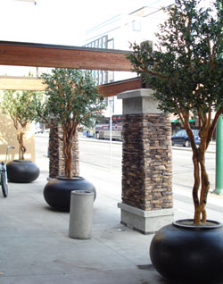 Greenscape Silk Home Page