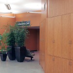 Greenscape Design In-House Design Areca and Bamboo
