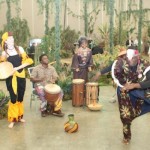 Greenscape Design RIMS Conference Africa Decor