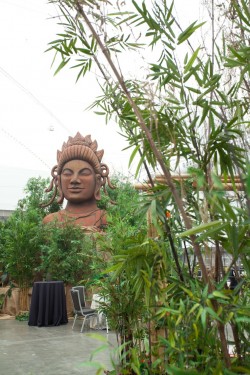 Greenscape Design Tropical Rainforest Bamboo Buddah