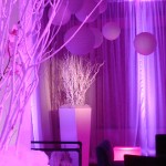 Greenscape Design White Willow Planters Loungeworks