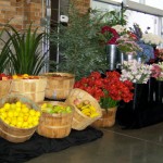 Greenscape Market Display