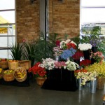 Greenscape Market Display
