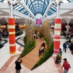 Flowering wishing tree, Richmond Centre