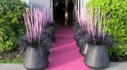 Hot pink walkway