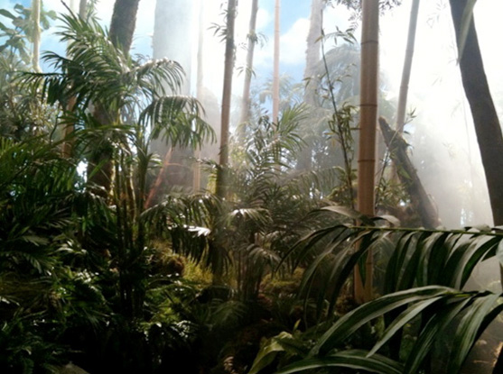 New MacDonald's Commercial - Jungle New MacDonald's Commercial - Jungle