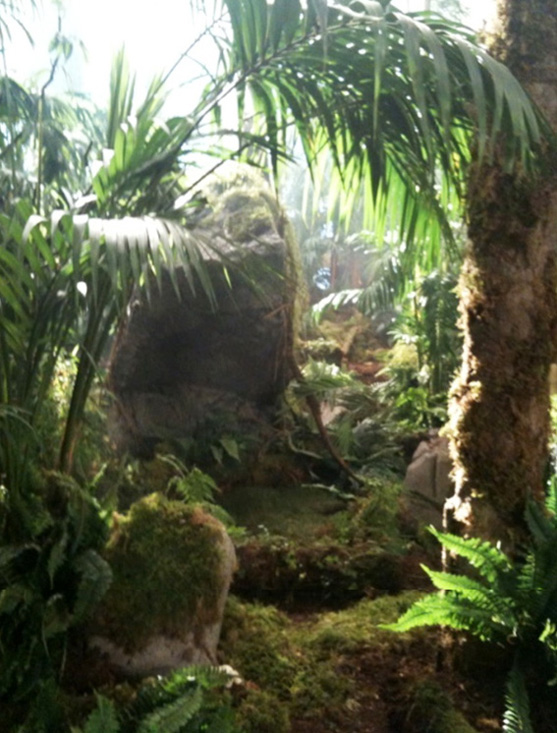 New MacDonald's Commercial - Mossy Rocks & Ferns New MacDonald's Commercial - Mossy Rocks & Ferns