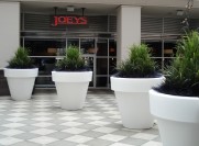Greenscape Design illuminated exterior grass planters Joey's Restaurant