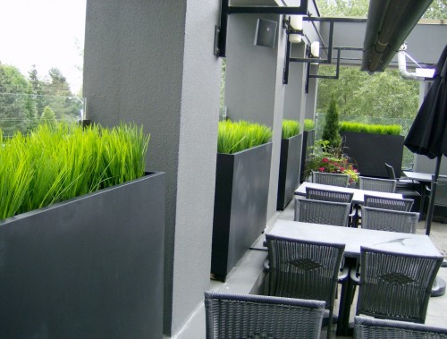 Greenscape Design vanilla grass exterior custom planters with floral planter and cedars Moxie's Restaurant