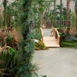 Greenscape Design African Rainforest green decor options
