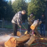 Greenscape Design Cedar Log Harvesting