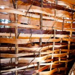 Greenscape Design Natural Birch Woven Wall