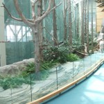 Greenscape Design Natural Forest Snags YVR