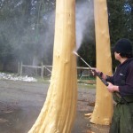 Greenscape Design Peeled Cedar Log