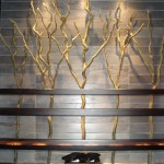 Greenscape Design Peeled Curly Willow Moxies