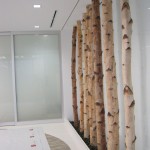 Greenscape Design Silver Birch Pole Office Lobby Decor