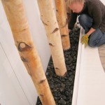 Greenscape Design Silver Birch Pole River Rock Office Decor