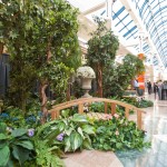 Greenscape Design Whimsical Forest Decor Richmond Centre