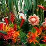 Greenscape Design tropical flowers green decor options