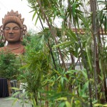 Greenscape Design Buddah Bamboo Grove Event Decor