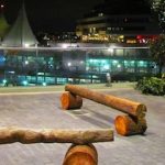 Greenscape Design Event Camp Logs Vancouver Convention Centre