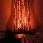 Greenscape Design Birch Pole Backdrop with Red Uplighting