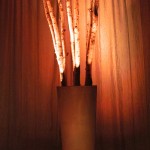 Greenscape Design Birch Pole Cluster Arrangement