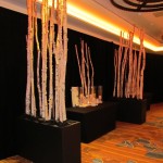Greenscape Design Silver Birch Branches in Contempory Black Planters