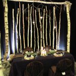 Greenscape Design Natural Birch Arch and Backdrop
