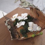 Greenscape Design Natural Birch Bark Moss and White Orchid Centrepiece