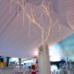 Greenscape Design White Manzanita Branch wih Crystal Garland