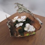 Greenscape Design Birch Bark with White Orchid and Moss Centrepiece