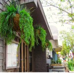 Greenscape Design Burgoo Artificial Exterior Hanging Baskets