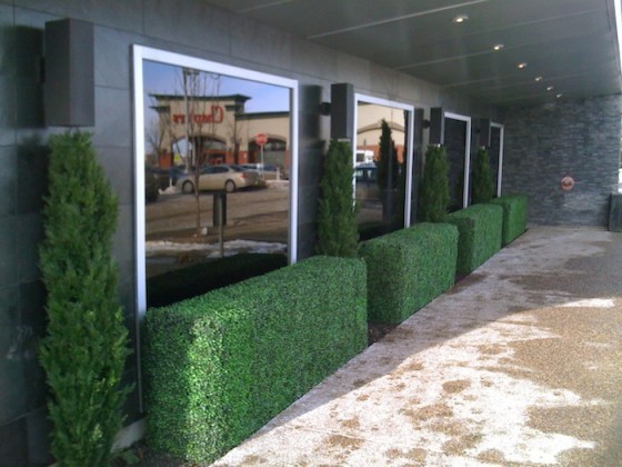 Faux Boxwood Hedges Greenscape