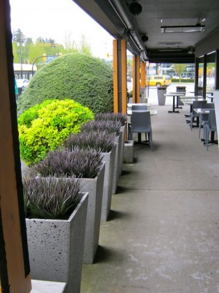 -Design-Exterior-Concrete-Patio-Planters-with-Black-Grass-315x420
