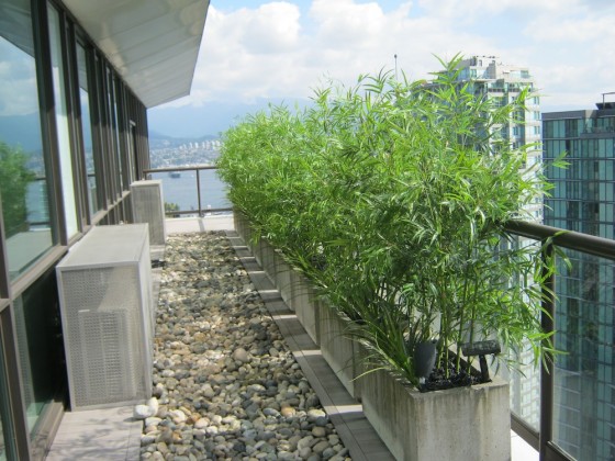Apartment Balcony Privacy: Small balcony designs. - Apartment Balcony Privacy : Private residence bamboo and cedar decor