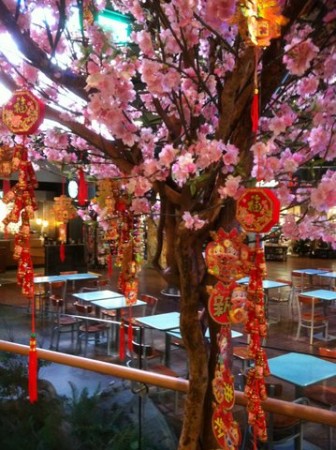 Chinese New Year - Gung Hay Fat Choy - Greenscape Design