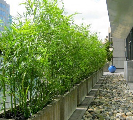 Residential Patio Tips | Greenscape