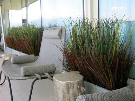 Tips for Creating Privacy in Your Patio | Greenscape
