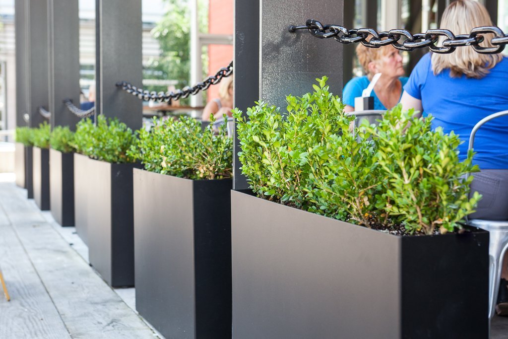 Black Steel Planters and Boxwood // Restaurant Patio Greenscape