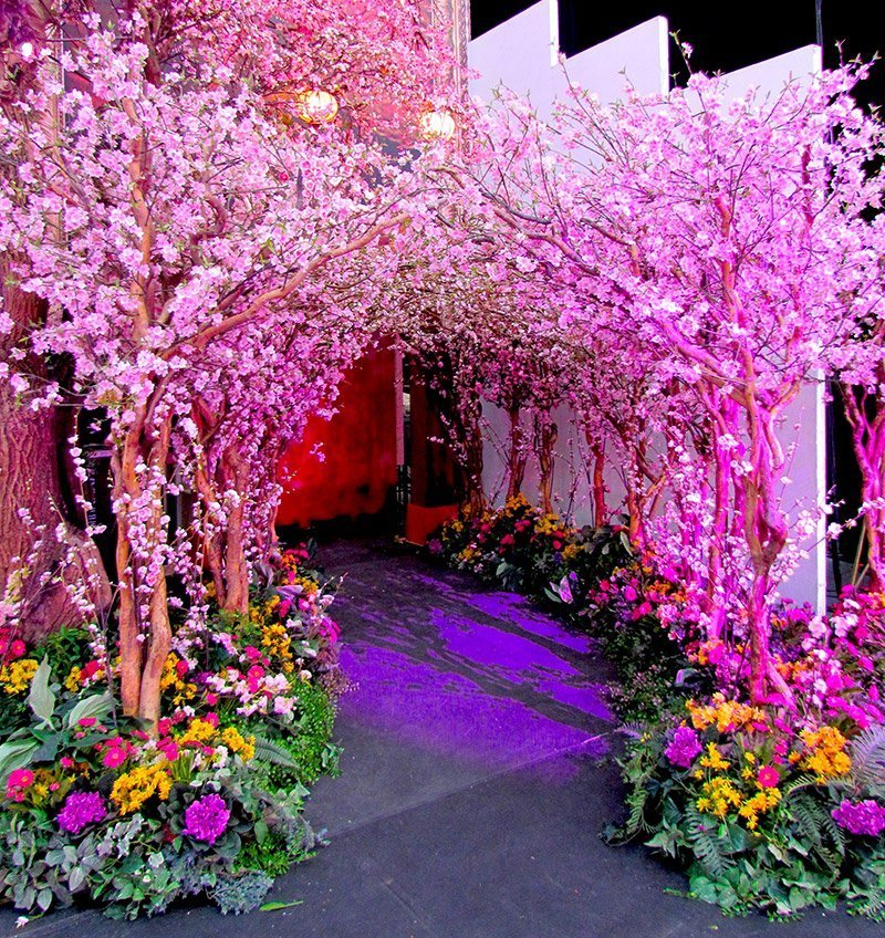 Cherry Blossom Tree Arch // Vancouver Event Decor Greenscape Design