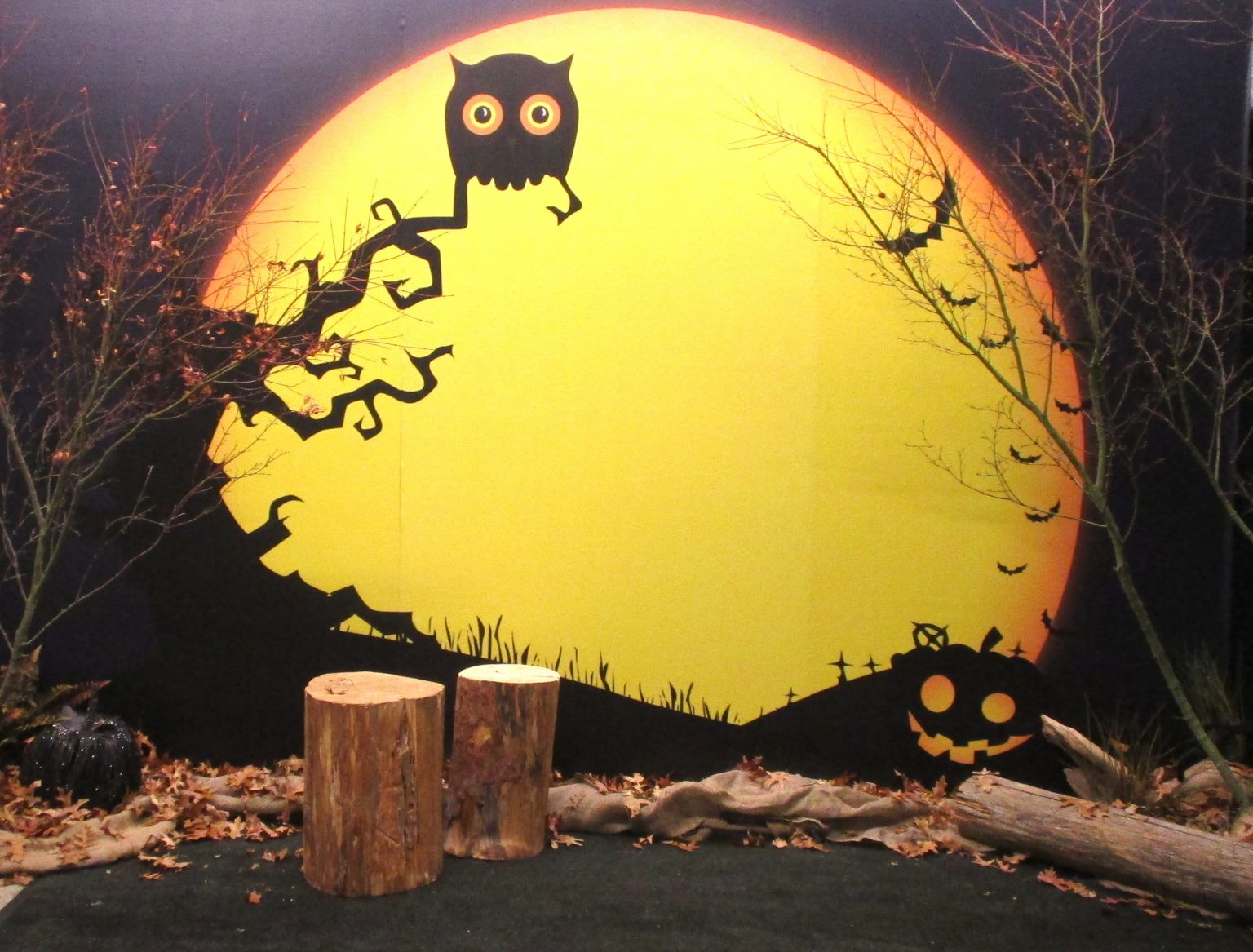 Halloween Themed Backdrop & Photo Op // Vancouver Office Holiday Decor ...