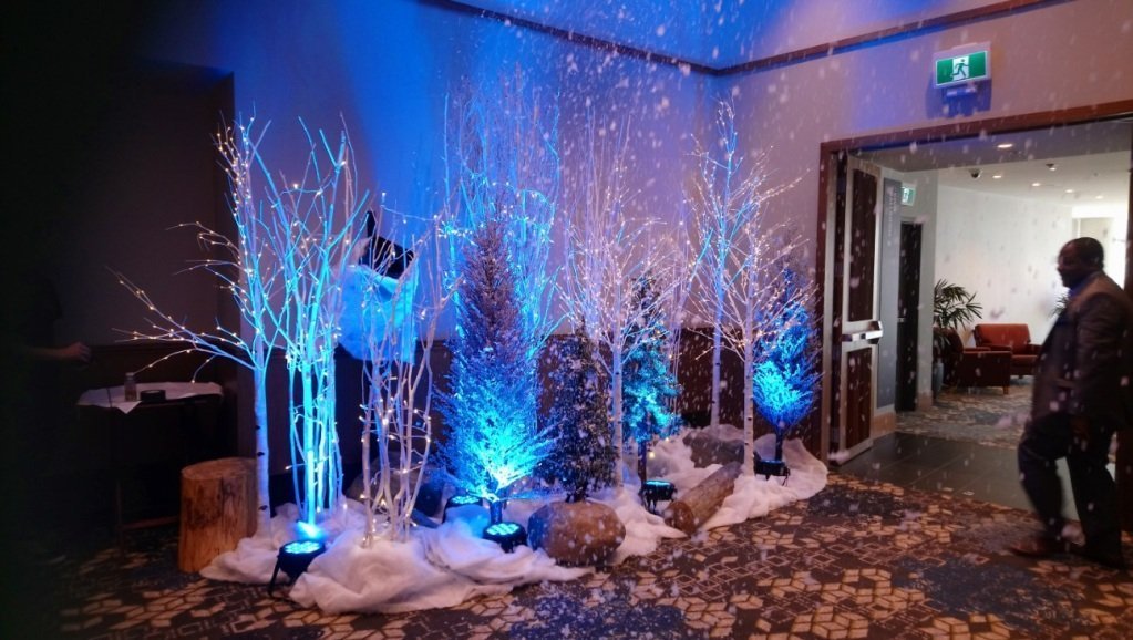 Winter Birch Led Trees Ice Crystal Evergreens Winter Wonderland Theme Greenscape Design Decor Winter Birch Led Trees Ice Crystal Evergreens Winter Wonderland Theme Greenscape Design Decor