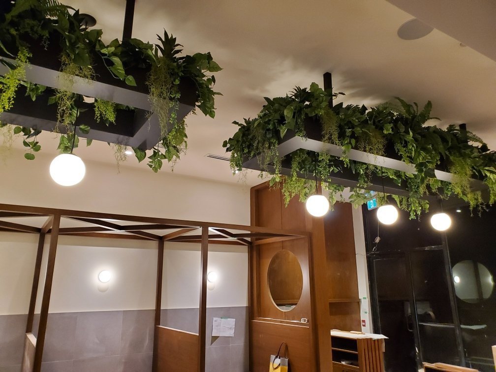 Light Fixture Hanging Greenery // Commercial Restaurant Design