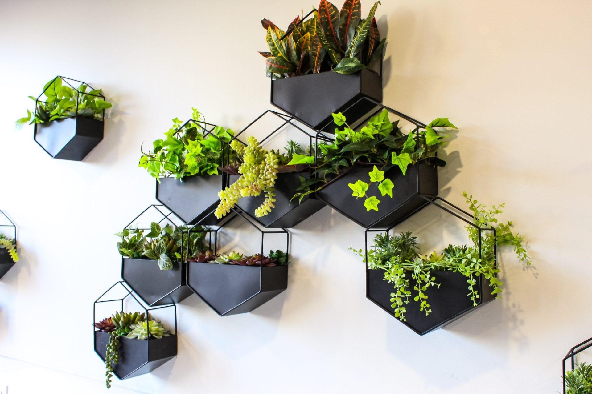 close up of black hexagon planters with various artificial greenery