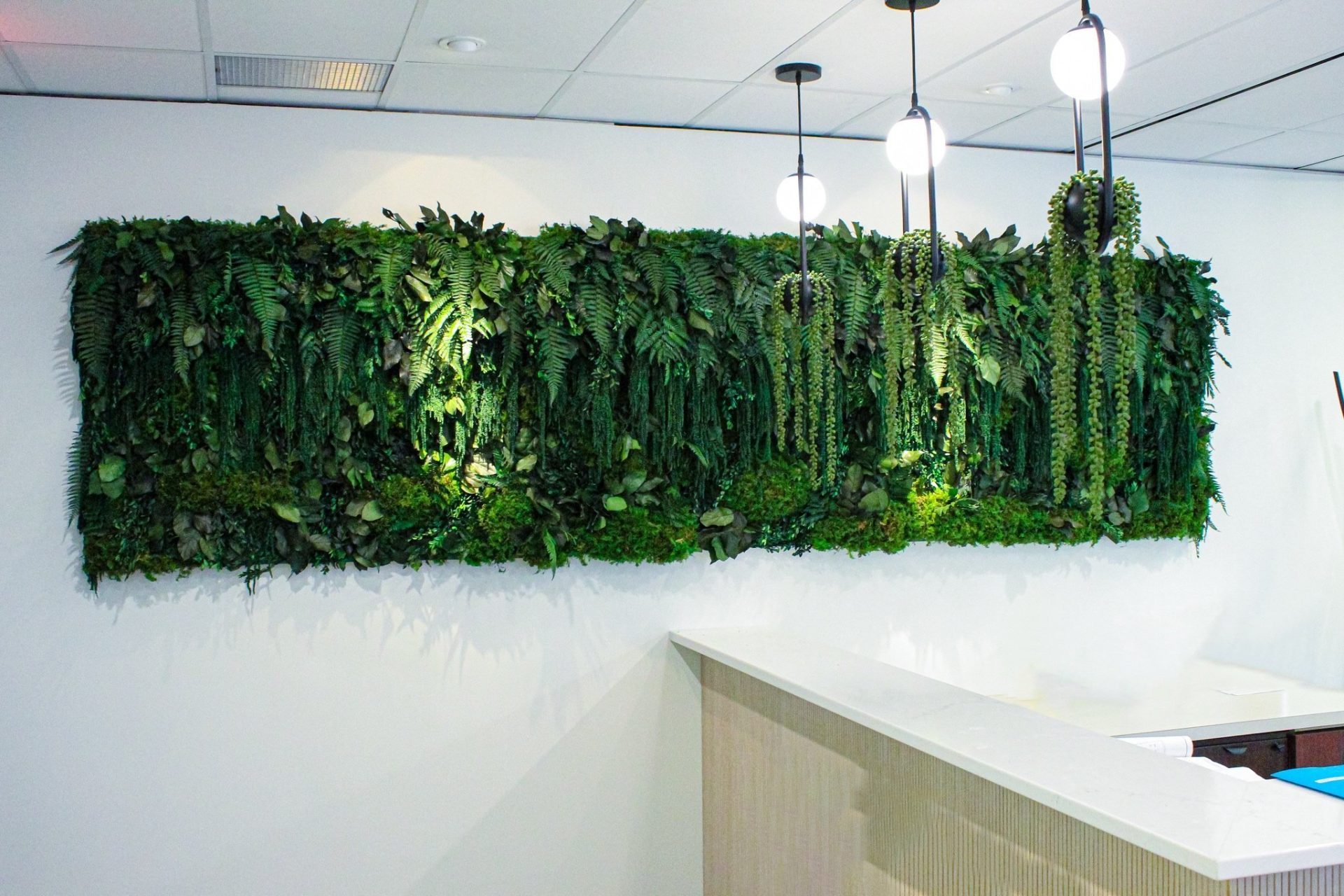 Preserved Green Wall // Office Building Greenscape Design & Decor