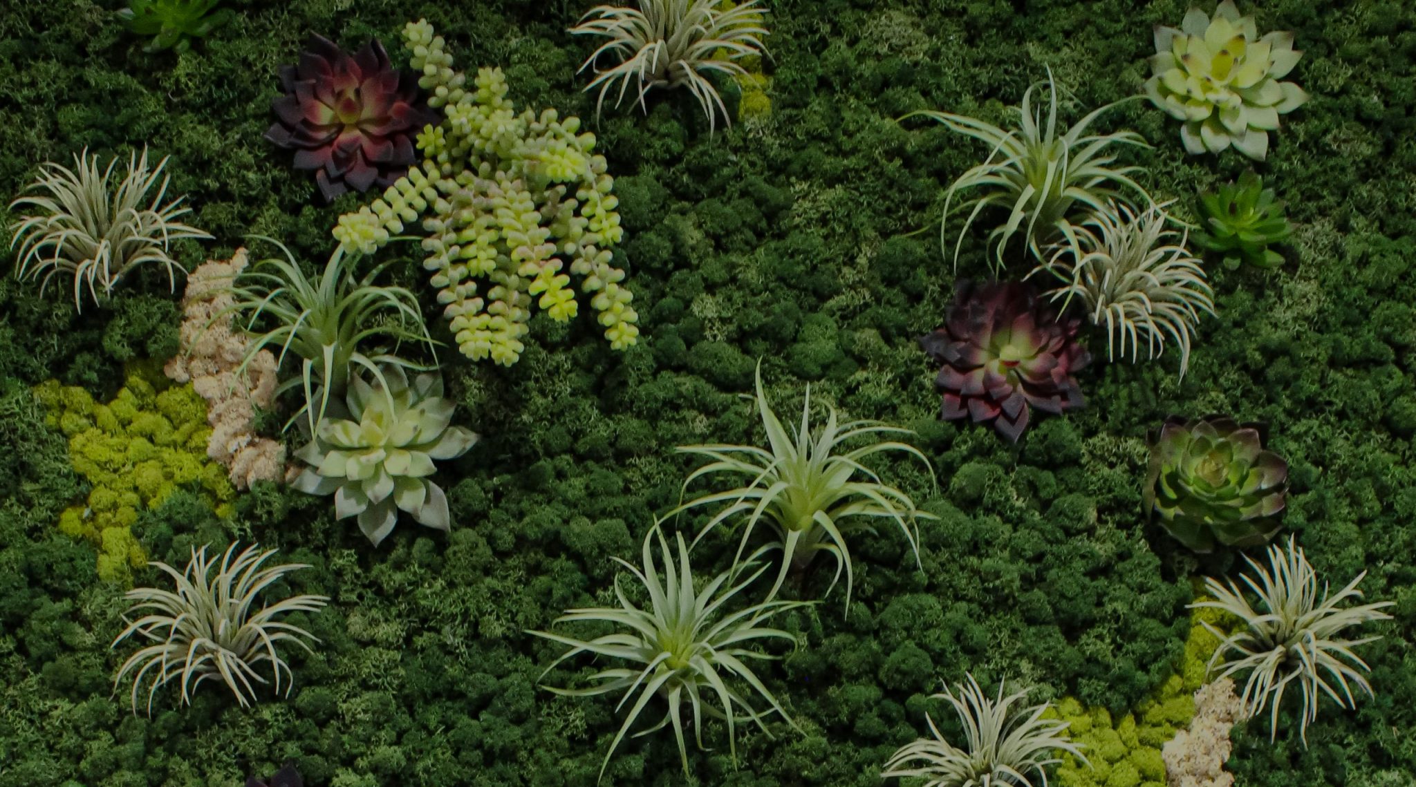 Green & Moss Walls Greenscape Design & Decor