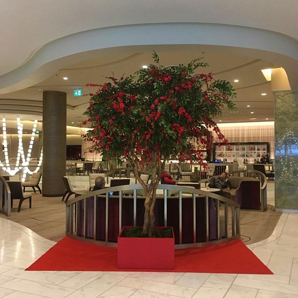 Red Cherry Blossom Tree - Greenscape Design & Decor