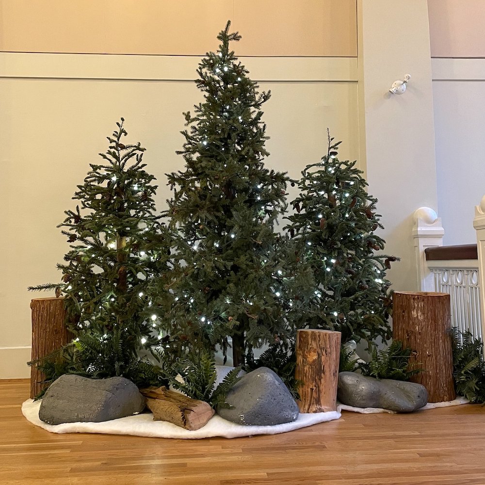 Artificial Evergreen Greenscape Design & Decor