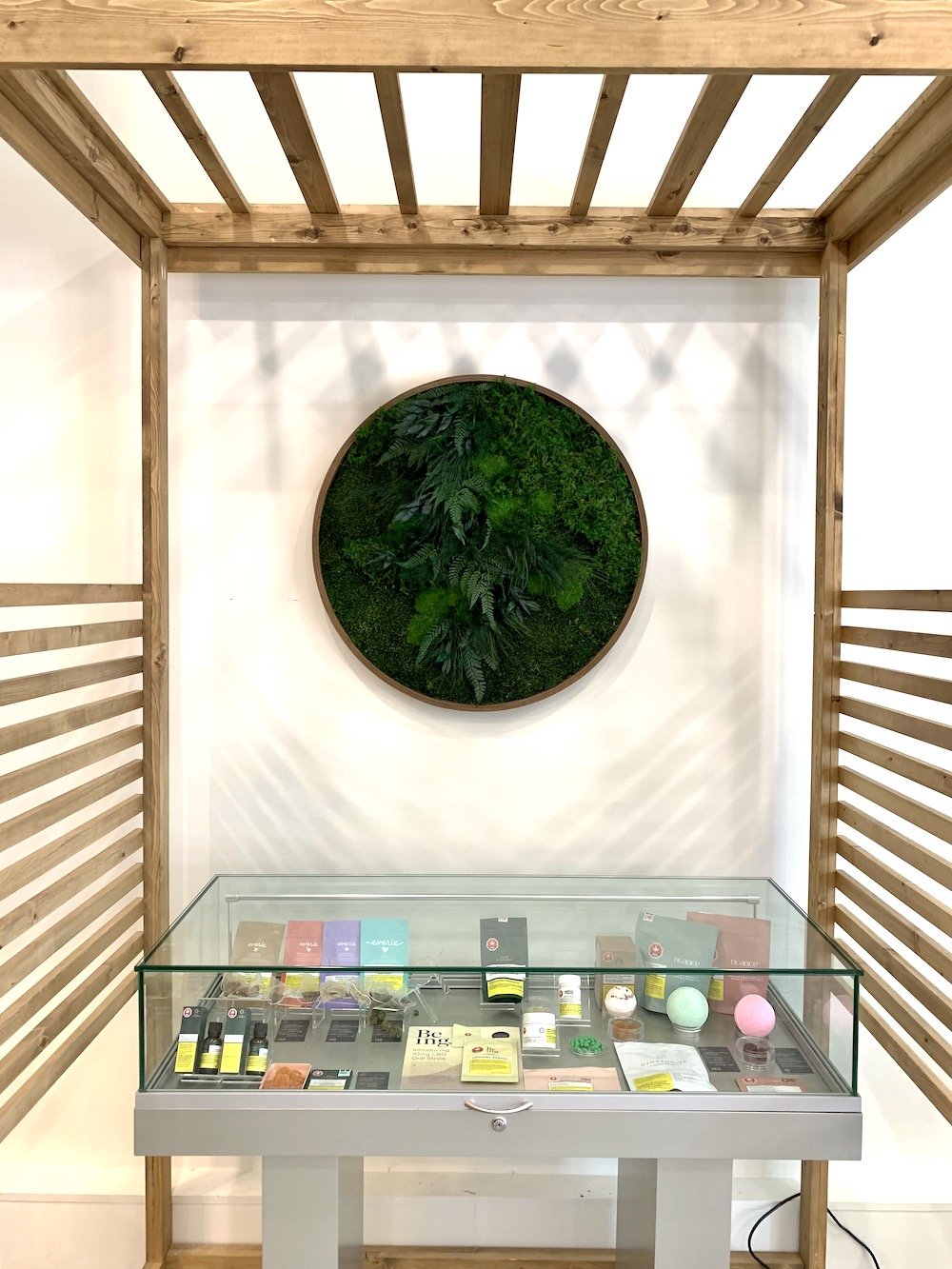 Preserved Moss Wall Art Greenscape Design & Decor